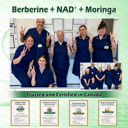 🇨🇦𝑶𝒇𝒇𝒊𝒄𝒊𝒂𝒍 𝑺𝒕𝒐𝒓𝒆  | 🌳𝐆𝑳𝑶𝗥𝗘𝗡𝘿𝘼®𝟏𝟎-𝙞𝙣-𝟏 𝘼𝒅𝒗𝒂𝒏𝒄𝒆𝐝 𝐍𝐚𝐧𝙤 𝙈𝙞𝙘𝙧𝙤𝙣𝒆𝒆𝒅𝒍𝐞 𝐏𝐚𝐭𝙘𝙝